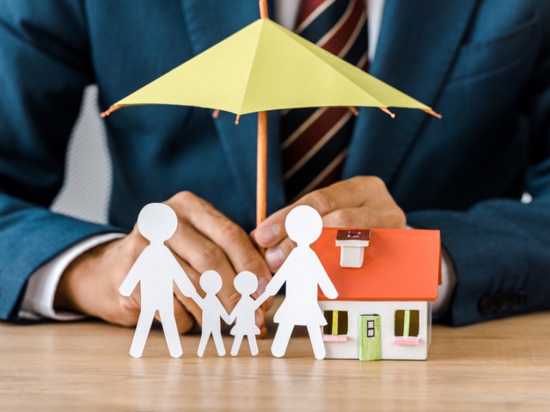 What is the main purpose of life&nbsp;insurance?